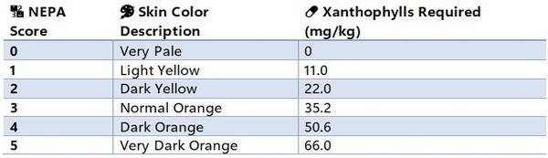 Feeding for Broiler Skin Colour – A Nutritional Approach - Image 4