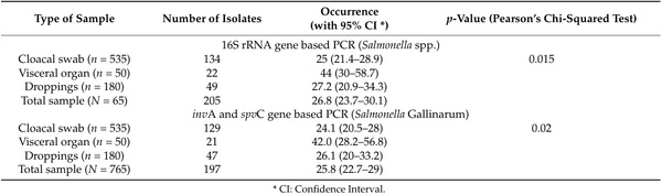 Salmonella Gallinarum in Small-Scale Commercial Layer Flocks: Occurrence, Molecular Diversity and Antibiogram - Image 5