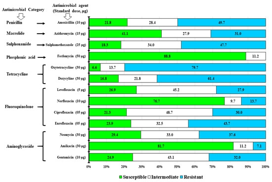 Salmonella Gallinarum in Small-Scale Commercial Layer Flocks: Occurrence, Molecular Diversity and Antibiogram - Image 9
