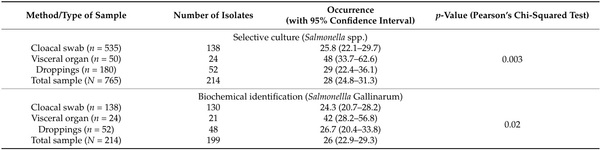 Salmonella Gallinarum in Small-Scale Commercial Layer Flocks: Occurrence, Molecular Diversity and Antibiogram - Image 3