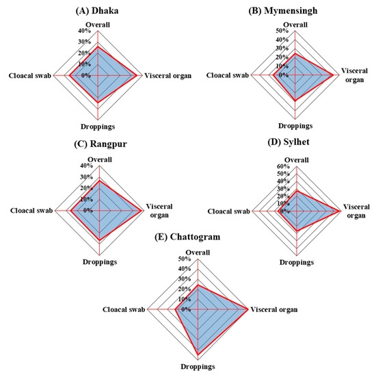 Salmonella Gallinarum in Small-Scale Commercial Layer Flocks: Occurrence, Molecular Diversity and Antibiogram - Image 7