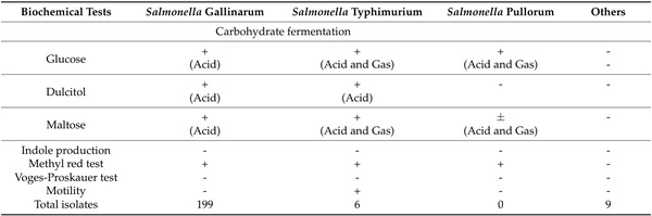 Salmonella Gallinarum in Small-Scale Commercial Layer Flocks: Occurrence, Molecular Diversity and Antibiogram - Image 4