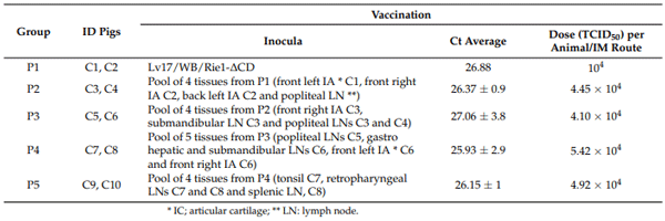 Table 2. Overview of serial passages in the reversion-to-virulence study of Lv17/WB/Rie1-∆CD in domestic pigs describing the tissue pooling, Ct values, and doses of the inocula.