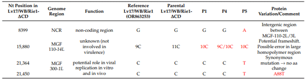 Table 5. Genetic variations (marked in red) identified in the Lv17/WB/Rie1-∆CD vaccine candidate across sequential in vivo passages.