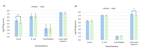 Figure 1. Plating microbial count from lactating sows (A) and suckling pigs (B) as affected by sows fed control (MCON) or SCFAs-MCFAs supplementation (MOA) diet at 7 d after farrowing. Data from sows were analyzed with microbial counts at 0 d as covariable. Data from suckling pigs is mean of 3 samples from 24 L per experimental diet. Asterisk (*) and cross (†) symbol indicates significant differences (p = 0.020) and tendencies (p = 0.083), respectively.