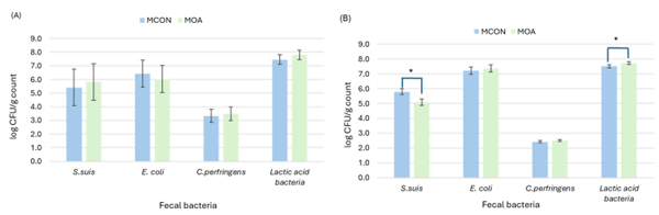 Figure 2. Plating microbial count from lactating sows (A) and suckling pigs (B) as affected by sows fed control (MCON) or SCFAs-MCFAs supplementation (MOA) diet at 20 d after farrowing. Data from sows were analyzed with microbial counts at 0 d as covariable. Data from suckling pigs are means of 3 samples from 24 L per experimental diet. Asterisk (*) symbol indicates significant differences (p < 0.05).