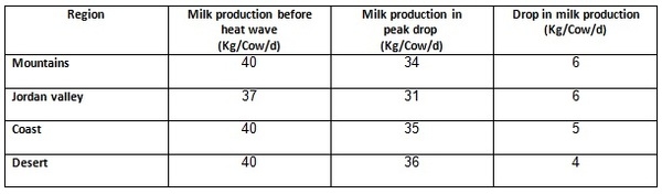 Heat Wave – What it does to cows