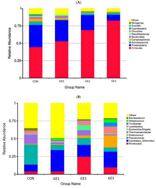 Figure 1. Composition of the gut microbiota at the phylum level (A) and genus level (B). CON (basal diet), GE1, GE2, and GE3 (ginger extract at 2.5, 5, and 10 g/kg feed).