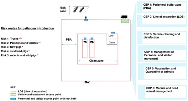 A scoping review of knowledge, attitudes, and practices in swine farm biosecurity in North America - Image 6