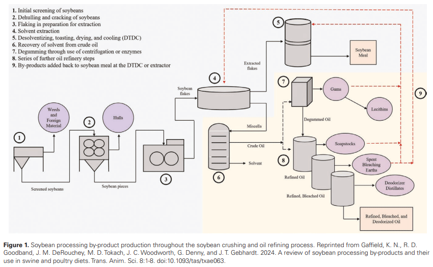 An industry survey of the composition and variability of soybean gums and soapstocks across US soybean processing plants - Image 1