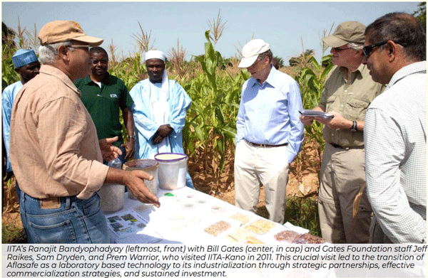 How soon is now? Tackling Africa’s recurrent aflatoxin crises through integrated, multi-sectoral management strategies - Image 4