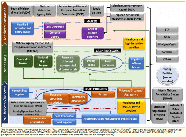 How soon is now? Tackling Africa’s recurrent aflatoxin crises through integrated, multi-sectoral management strategies - Image 7