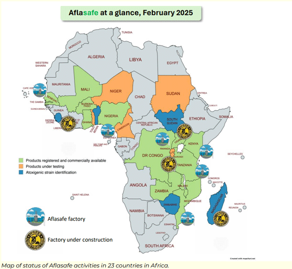 How soon is now? Tackling Africa’s recurrent aflatoxin crises through integrated, multi-sectoral management strategies - Image 5