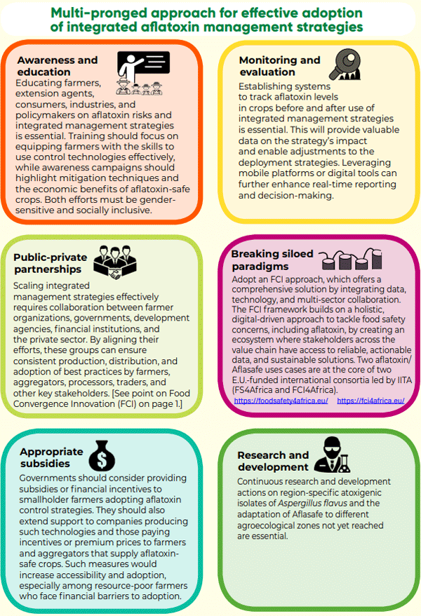 How soon is now? Tackling Africa’s recurrent aflatoxin crises through integrated, multi-sectoral management strategies - Image 6