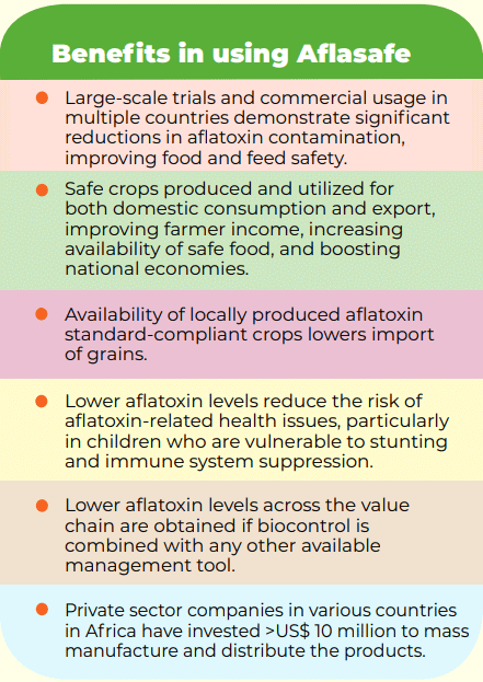How soon is now? Tackling Africa’s recurrent aflatoxin crises through integrated, multi-sectoral management strategies - Image 3