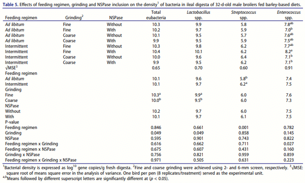 Table 5. Effects of feeding regimen, grinding and NSPase inclusion on the density1 of bacteria in ileal digesta of 32-d-old male broilers fed barley-based diets.