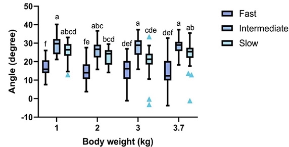 Fast growth rate is associated with musculoskeletal biomechanical imbalance and dorsal cranial myopathy in broiler chickens - Image 3
