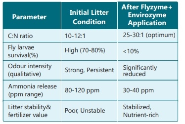 Re-thinking Litter Management in Poultry: Addressing Flies and Odour Beyond Conventional Interventions - Image 5
