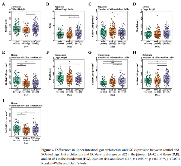 Figure 7. Differences in upper intestinal gut architecture and GC expression between control and XOS-fed pigs. Gut architecture and GC density changes on d22 in the jejunum (A–C) and ileum (D,E), and on d54 in the duodenum (F,G), jejunum (H), and ileum (I). *, p < 0.05; **, p < 0.01; ***, p < 0.001; Kruskal–Wallis and Dunn’s tests.