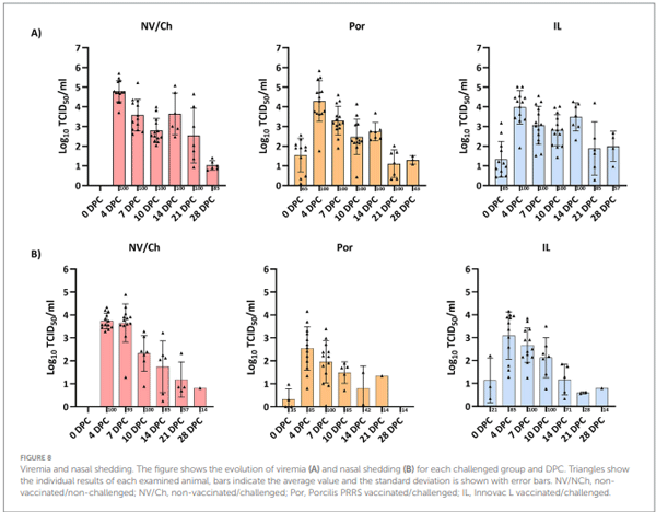 FIGURE 8 Viremia and nasal shedding. The figure shows the evolution of viremia (A) and nasal shedding (B) for each challenged group and DPC. Triangles show the individual results of each examined animal, bars indicate the average value and the standard deviation is shown with error bars. NV/NCh, nonvaccinated/non-challenged; NV/Ch, non-vaccinated/challenged; Por, Porcilis PRRS vaccinated/challenged; IL, Innovac L vaccinated/challenged.