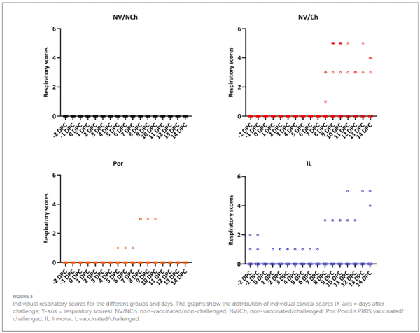 FIGURE 3 Individual respiratory scores for the different groups and days. The graphs show the distribution of individual clinical scores (X-axis = days after challenge; Y-axis = respiratory scores). NV/NCh, non-vaccinated/non-challenged; NV/Ch, non-vaccinated/challenged; Por, Porcilis PRRS vaccinated/ challenged; IL, Innovac L vaccinated/challenged.