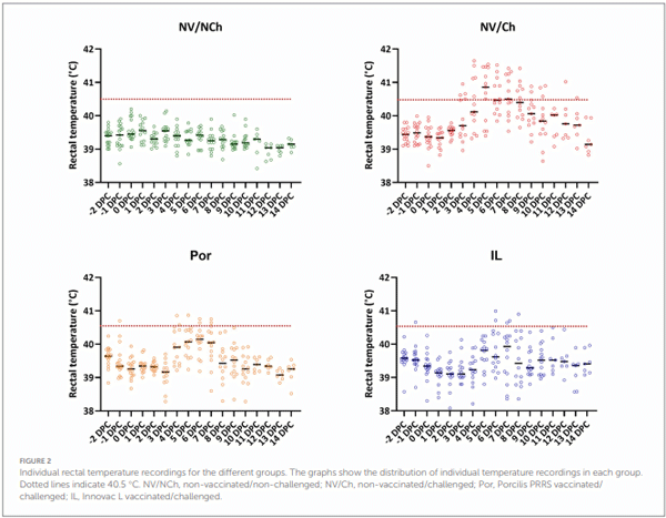 FIGURE 2 Individual rectal temperature recordings for the different groups. The graphs show the distribution of individual temperature recordings in each group. Dotted lines indicate 40.5 °C. NV/NCh, non-vaccinated/non-challenged; NV/Ch, non-vaccinated/challenged; Por, Porcilis PRRS vaccinated/ challenged; IL, Innovac L vaccinated/challenged.