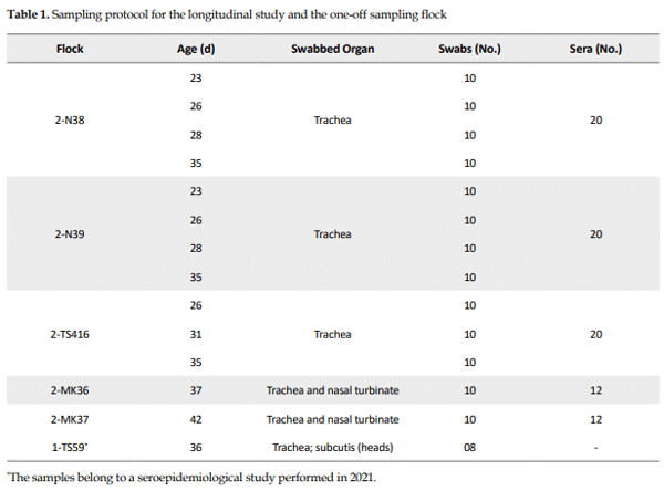 Table 1. Sampling protocol for the longitudinal study and the one-off sampling flock