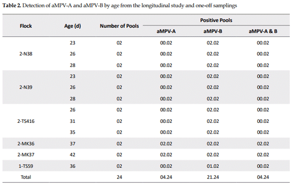 Table 2. Detection of aMPV-A and aMPV-B by age from the longitudinal study and one-off samplings