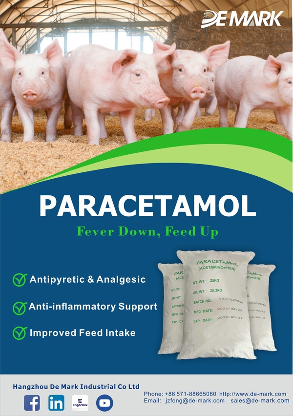 APIs MARKET - Image 10