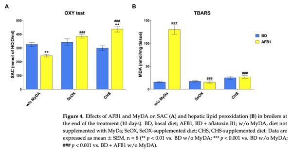 Figure 4. Effects of AFB1 and MyDA on SAC (A) and hepatic lipid peroxidation (B) in broilers at the end of the treatment (10 days). BD, basal diet; AFB1, BD + aflatoxin B1; w/o MyDA, diet not supplemented with MyDa; SeOX, SeOX-supplemented diet; CHS, CHS-supplemented diet. Data are expressed as mean ± SEM, n = 8 (** p < 0.01 vs. BD w/o MyDA; *** p < 0.001 vs. BD w/o MyDA; ### p < 0.001 vs. BD + AFB1 w/o MyDA).