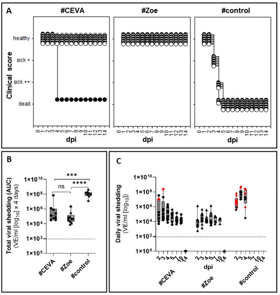 Immunogenicity and Protective Efficacy of Five Vaccines Against Highly Pathogenic Avian Influenza Virus H5N1, Clade 2.3.4.4b, in Fattening Geese - Image 6