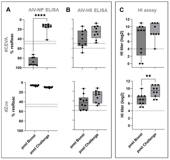 Immunogenicity and Protective Efficacy of Five Vaccines Against Highly Pathogenic Avian Influenza Virus H5N1, Clade 2.3.4.4b, in Fattening Geese - Image 7