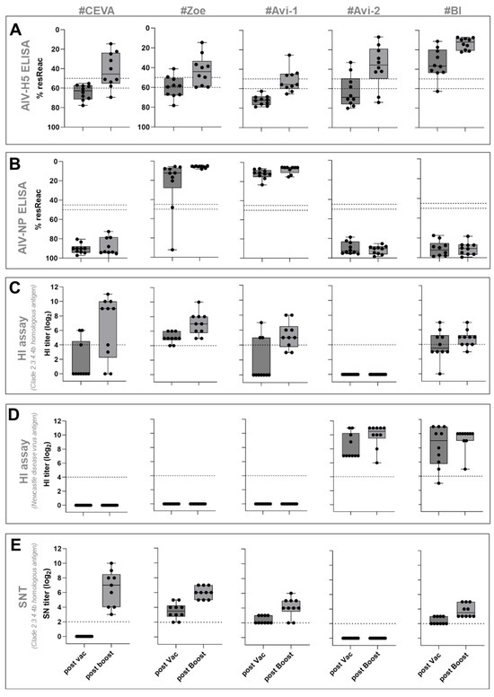 Immunogenicity and Protective Efficacy of Five Vaccines Against Highly Pathogenic Avian Influenza Virus H5N1, Clade 2.3.4.4b, in Fattening Geese - Image 4
