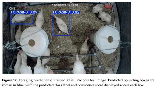 Figure 12. Foraging prediction of trained YOLOv9c on a test image. Predicted bounding boxes are shown in blue, with the predicted class label and confidence score displayed above each box.