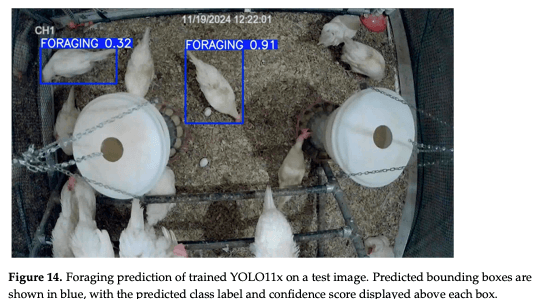 Figure 14. Foraging prediction of trained YOLO11x on a test image. Predicted bounding boxes are shown in blue, with the predicted class label and confidence score displayed above each box.