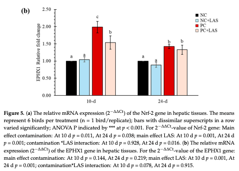 Figure 5. (a) The relative mRNA expression (2−∆∆Ct) of the Nrf-2 gene in hepatic tissues. The means represent 6 birds per treatment (n = 1 bird/replicate); bars with dissimilar superscripts in a row varied significantly; ANOVA P indicated by *** at p < 0.001. For 2−∆∆Ct-value of Nrf-2 gene: Main effect contamination: At 10 d p = 0.011, At 24 d p = 0.038; main effect LAS: At 10 d p = 0.001, At 24 d p = 0.001; contamination *LAS interaction: At 10 d p = 0.928, At 24 d p = 0.016. (b) The relative mRNA expression (2−∆∆Ct) of the EPHX1 gene in hepatic tissues. For the 2−∆∆Ct-value of the EPHX1 gene: main effect contamination: At 10 d p = 0.144, At 24 d p = 0.219; main effect LAS: At 10 d p = 0.001, At 24 d p = 0.001; contamination*LAS interaction: At 10 d p = 0.078, At 24 d p = 0.915.