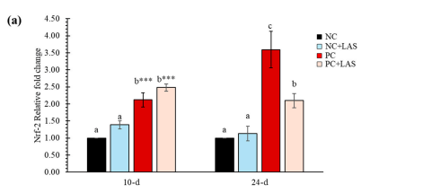 Figure 5. (a) The relative mRNA expression (2−∆∆Ct) of the Nrf-2 gene in hepatic tissues. The means represent 6 birds per treatment (n = 1 bird/replicate); bars with dissimilar superscripts in a row varied significantly; ANOVA P indicated by *** at p < 0.001. For 2−∆∆Ct-value of Nrf-2 gene: Main effect contamination: At 10 d p = 0.011, At 24 d p = 0.038; main effect LAS: At 10 d p = 0.001, At 24 d p = 0.001; contamination *LAS interaction: At 10 d p = 0.928, At 24 d p = 0.016. (b) The relative mRNA expression (2−∆∆Ct) of the EPHX1 gene in hepatic tissues. For the 2−∆∆Ct-value of the EPHX1 gene: main effect contamination: At 10 d p = 0.144, At 24 d p = 0.219; main effect LAS: At 10 d p = 0.001, At 24 d p = 0.001; contamination*LAS interaction: At 10 d p = 0.078, At 24 d p = 0.915.