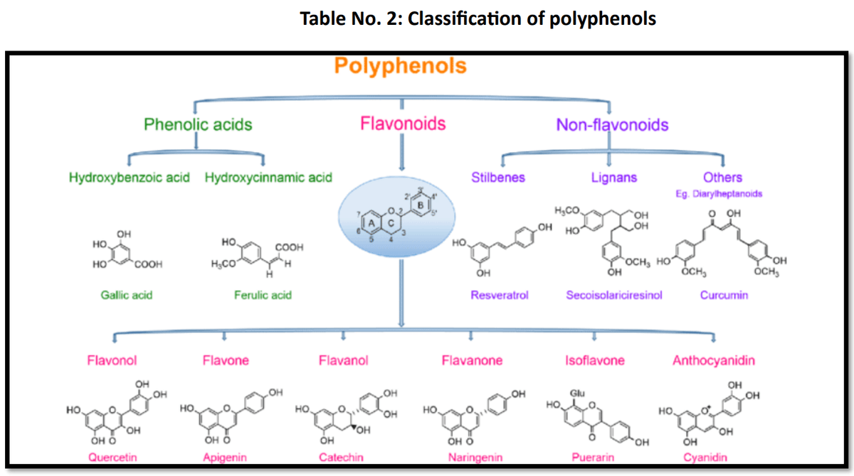 Role of polyphenols beyond antioxidants in poultry - Image 11