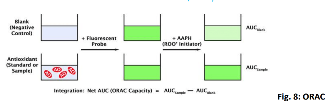 Role of polyphenols beyond antioxidants in poultry - Image 15