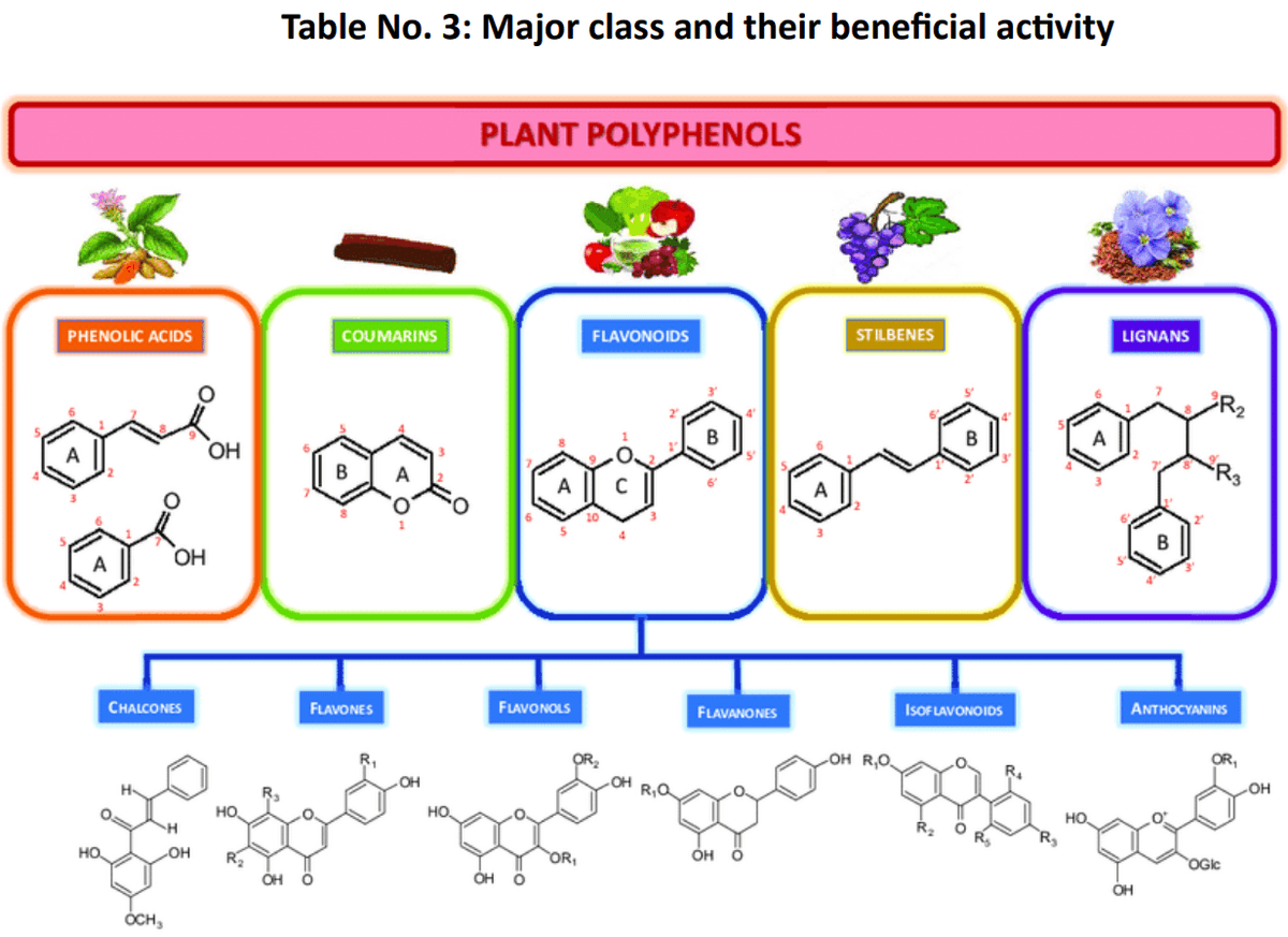 Role of polyphenols beyond antioxidants in poultry - Image 13
