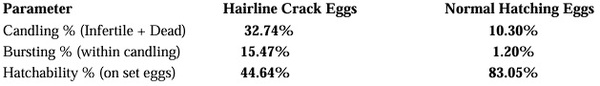 Effect of Hairline Crack Eggs on Hatchability and Chick Quality - Image 1