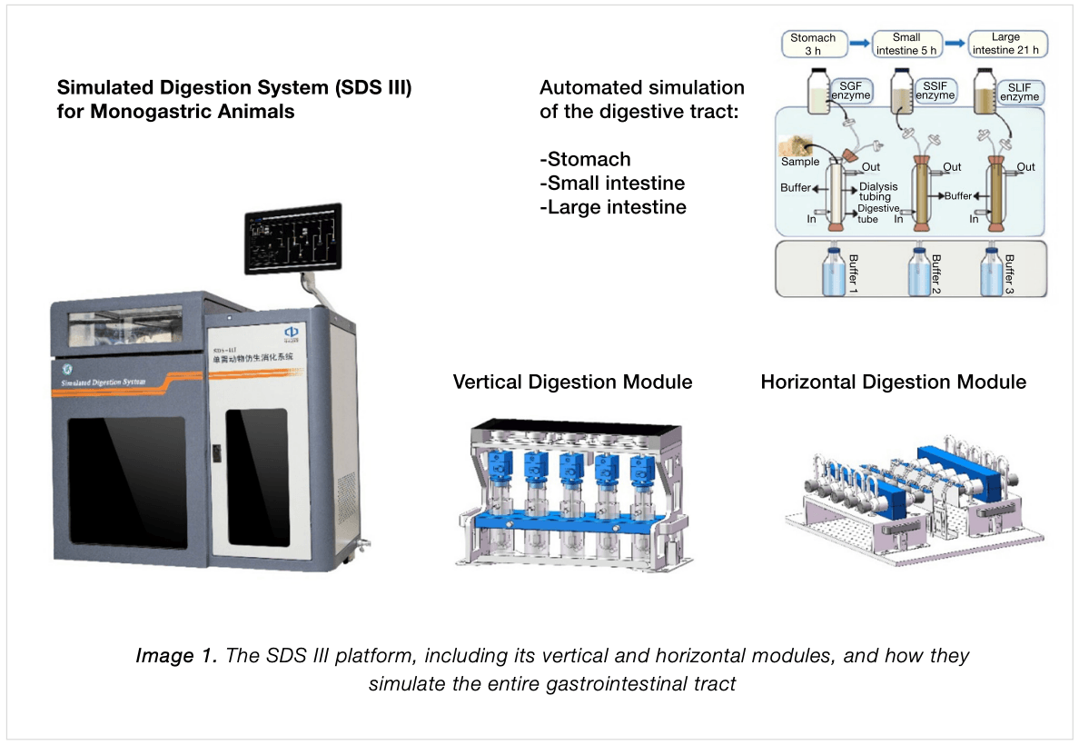 Simulated Digestion System for In Vitro Feed Digestibility - Image 2