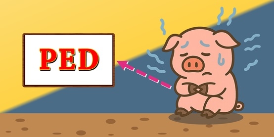 Combatting PEDV: How to Reduce Mortality and Protect Your Herd - Image 1