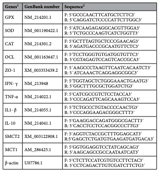 Table 7. List of primers used in reverse transcription quantitative-PCR gene expression analysis in weaned piglets. 1 GPX, glutathione peroxidase; SOD, superoxide dismutase; CAT, catalase; OCL, occludin; ZO-1, zonula occludens-1; IFN-γ, interferon gamma; TNF-α, tumor necrosis factor alpha; IL1- β, interleukin 1 beta; IL-10, interleukin 10; SMCT2, sodium-coupled monocarboxylate transporter; MCT1, monocarboxylate transporter 1. 2 F and R indicate Forward and Reverse primers, respectively