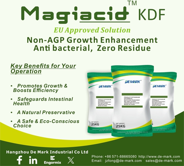 Veterinary APIs Market Heats Up: Doxycycline, Florfenicol, and Tiamulin Lead Price Recovery - Image 10