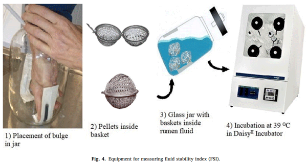 Improving nutrient utilization in ruminants through extruded pelleted feeds - Image 4