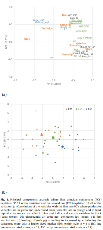Bones, reproductive organs and carcass characteristics of entire, early and late immunocastrated male pigs - Image 9