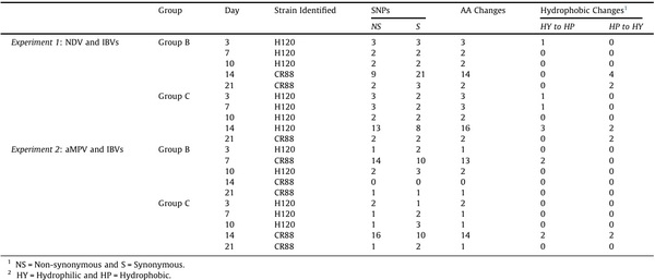 Comparative protective immunity provided by live vaccines of Newcastle disease virus or avian metapneumovirus when co-administered alongside classical and variant strains of infectious bronchitis virus in day-old broiler chicks - Image 2