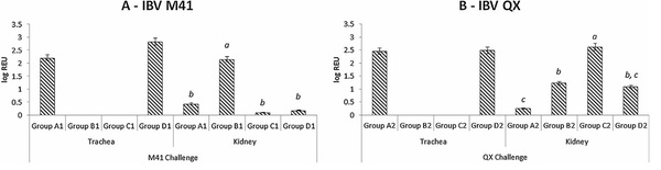 Comparative protective immunity provided by live vaccines of Newcastle disease virus or avian metapneumovirus when co-administered alongside classical and variant strains of infectious bronchitis virus in day-old broiler chicks - Image 6