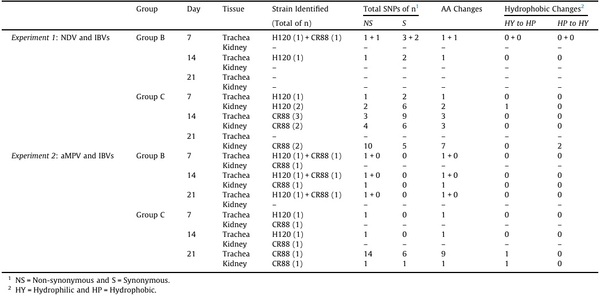 Comparative protective immunity provided by live vaccines of Newcastle disease virus or avian metapneumovirus when co-administered alongside classical and variant strains of infectious bronchitis virus in day-old broiler chicks - Image 3